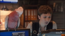 NCIS Sydney - Season 01 Episode 02